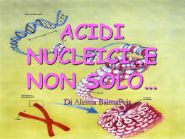 1 Acidi nucleici
