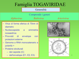 Togaviridae