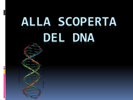 ALLA SCOPERTA DEL DNA - (3/4)^5 EST ClassBlog