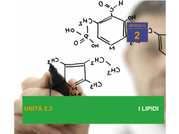 lipidi regolatori