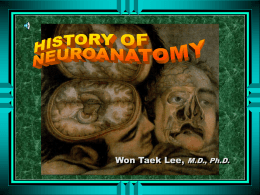 History of Neuroanatomy Egypt History of Neuroanatomy