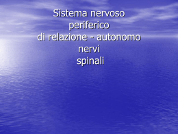 nervispinali