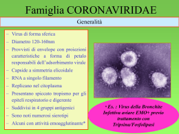 Coronavirus - Sezione Bulldog di Fossombrone
