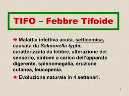 TIFO – Febbre Tifoide