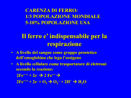 Metabolismo del ferro - Sezione di Ematologia