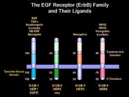 Modulazione farmacologica dei recettori della famiglia ErbB
