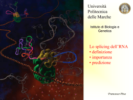 Splicing dell`RNA