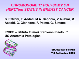 (Ch17polisomy) on HER/Neu status in breast cancer