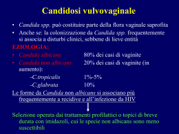 candidosi-vaginale (vnd.ms-powerpoint, it, 3036 KB, 3/27/06)