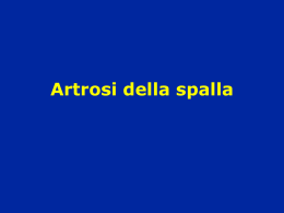 Spalla Artrosi-Necrosi - lerat