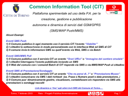 Ambiente per i Cittadini Common Information Tool (CIT)