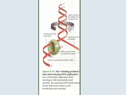 Farmaci che interferiscono con le DNA