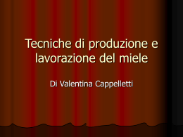 Tecniche di produzione e lavorazione del miele