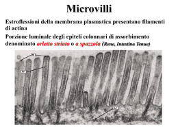 Microvilli