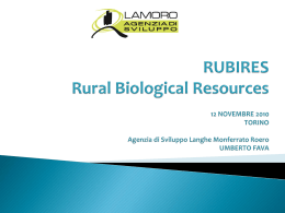 Umberto Fava - Agenzia di sviluppo del territorio Lamoro