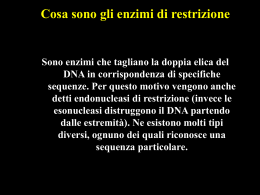 Lezione 3