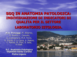 27. SGQ in Anatomia Patologica