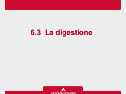 6_3_la_digestione