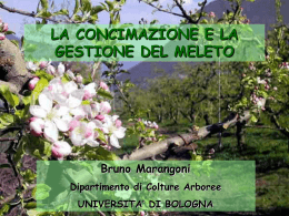 la concimazione e la gestione del meleto