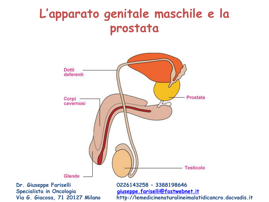 glande corona prostata sintomi