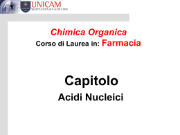 acidi nucleici