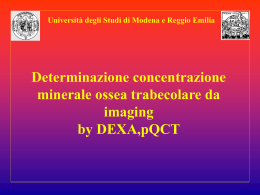 DEXA-pQCT 2005