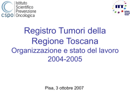 Organizzazione del RTRT e stato del lavoro (anno 2004/2005)