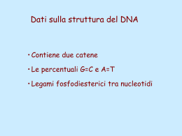 Struttura DNA