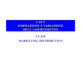 CAP 5 FORMAZIONE E VARIAZIONE DELL`ASSORTIMENTO