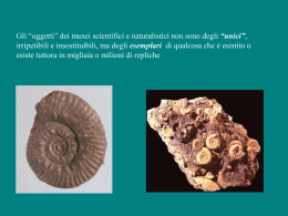 Museologia sci.3 - Universit&agrave; degli Studi di Ferrara