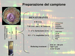 proteomica2 - Uninsubria