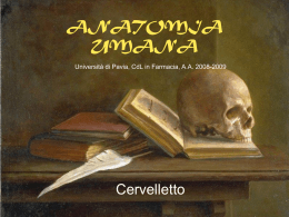 Lezione 21 - Università degli Studi di Pavia