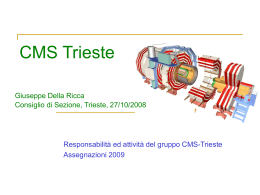 CMS - Trieste - INFN Trieste