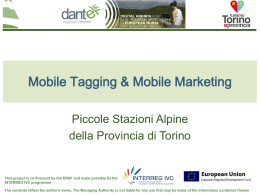 Mobile tagging e mobile marketing