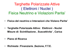 polaris - INFN - Sezione di Padova