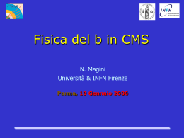 Magini- Fisica del b in CMS - INFN Gruppo Collegato di PARMA