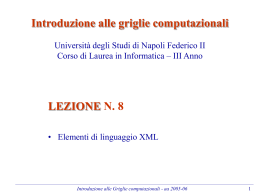 Introduzione alle griglie computazionali