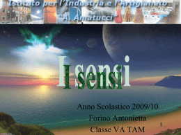 I sensi (tesina multimediale)  - 744 kB