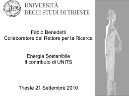 F.Benedetti - UNITS - FIT Fondazione Internazionale Trieste