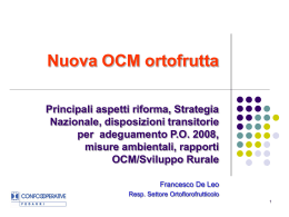 Mantova, 20 giugno 2003 - Confcooperative Firenze