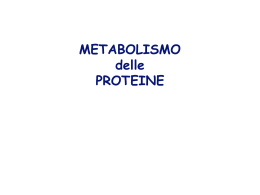 17_proteine__metab_2011
