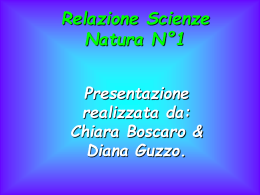 relazione natura-Chiara Boscaro e Diana Guzzo