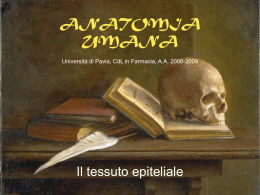 Lezione 2 - Università degli Studi di Pavia