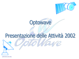 Optowave Business Plan 2002