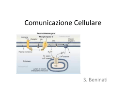 11_Lez_Comunicazione_Cellulare2003