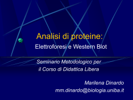 proteine - Farmacia