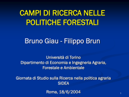Bruno Giau CAMPI DI RICERCA NELLE POLITICHE FORESTALI