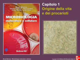 Capitolo 1 - Origine della vita e dei procarioti