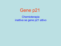 Gene p21