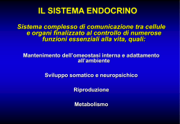 Sistema endocrino Prof. Pacini